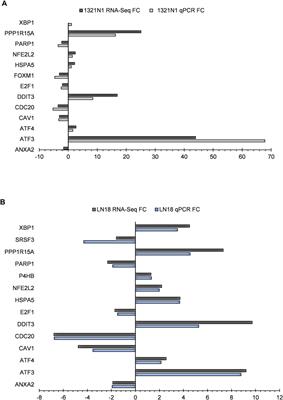 Inhibitory Mechanism of Combined Hydroxychavicol With Epigallocatechin-3-Gallate Against Glioma Cancer Cell Lines: A Transcriptomic Analysis